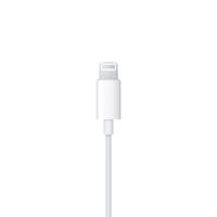 Apple EarPods Lightning aansluiting