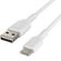 Belkin Boost↑Charge™ USB-C naar USB kabel - 0,15 meter - Wit