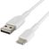 Belkin Boost↑Charge™ USB-C naar USB kabel - 3 meter - Wit